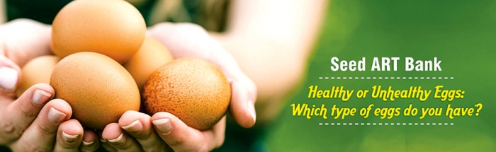 Healthy or Unhealthy Eggs  Which type of eggs do you have