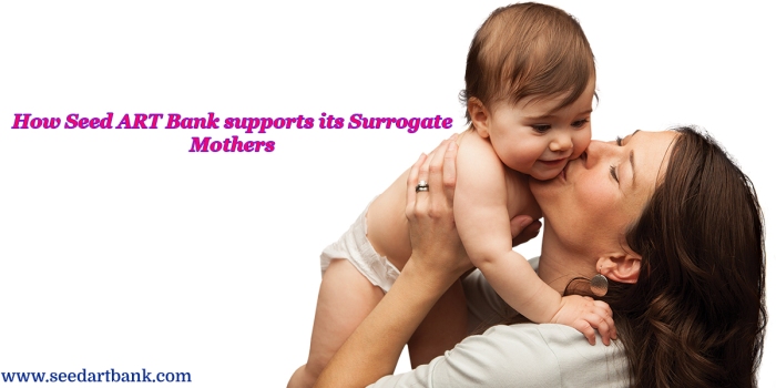 surrogate mothers on their surrogacy journey